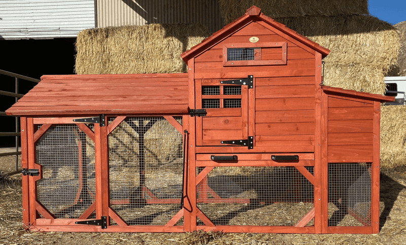 Reduce conflicts with feeders, poultry, and rodents safely