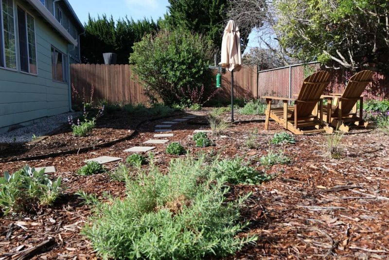 Reduce pesticide exposure without demanding a chemical-free yard
