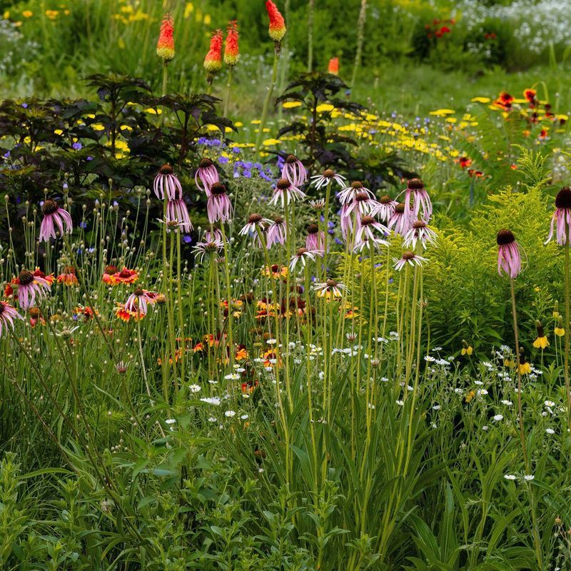Reduce pesticide harm without expecting a bug-free yard
