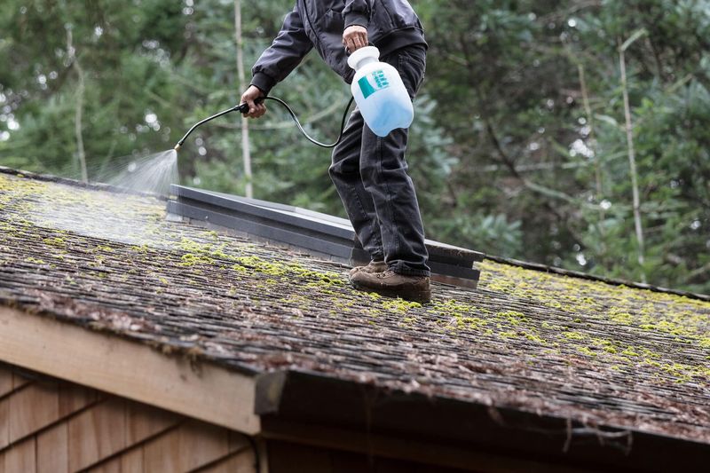 Reduce regrowth and know when cleaning is not enough