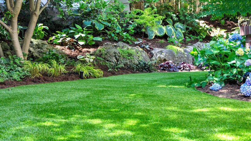 Reduce the habitat around beds and play areas