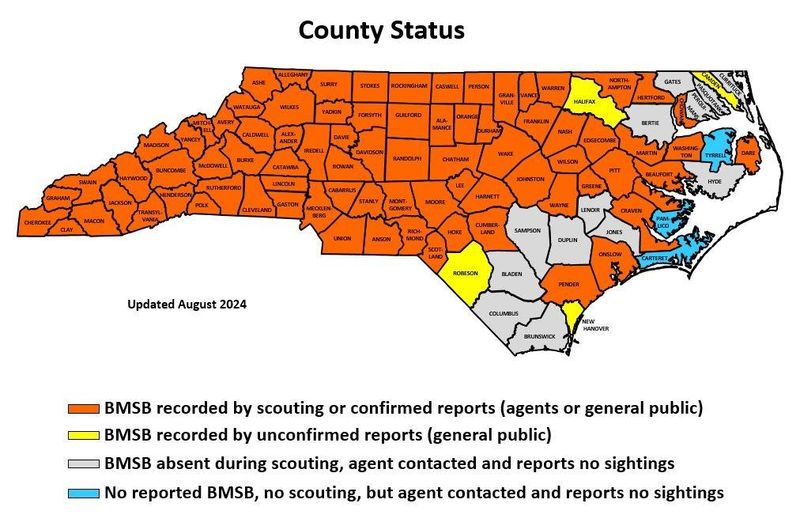 Regional conditions change the strength of the signal