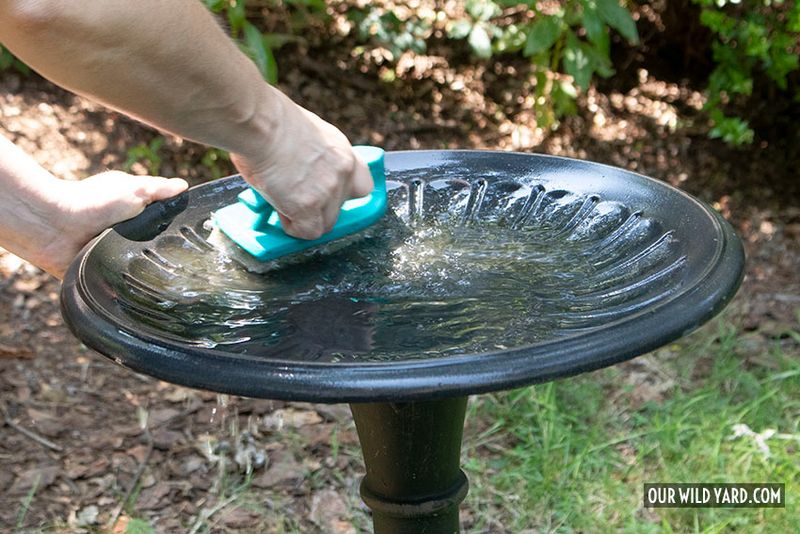 Regular upkeep keeps the basin usable and lowers avoidable risks Regular upkeep keeps the basin usable and lowers avoidable risks