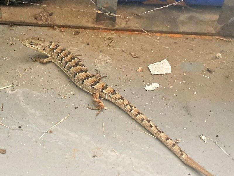 Remove Indoor Visitors Without Unnecessary Relocation