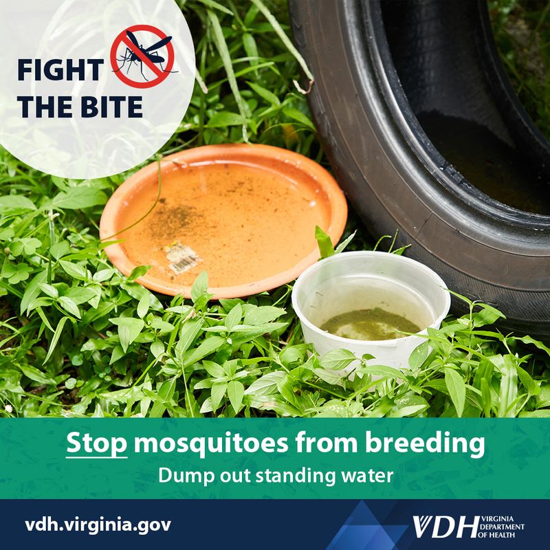 Remove Standing Water to Reduce Mosquitoes