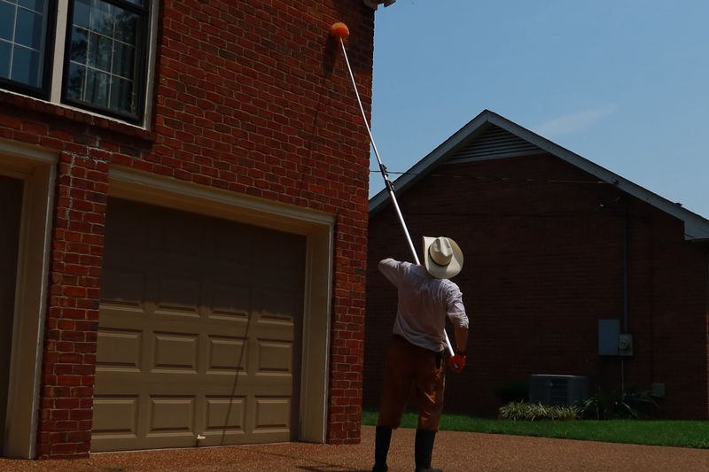 Remove Webs From High-Traffic Areas Without Blanket Sprays