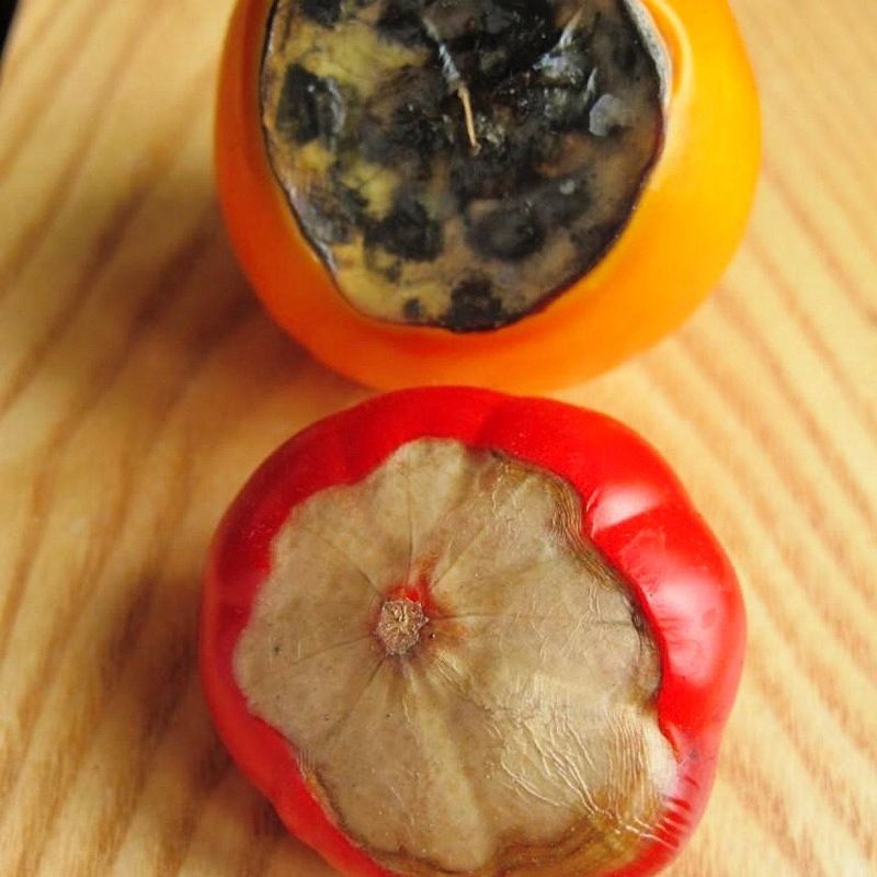 Remove affected fruit and use caution before eating it Remove affected fruit and use caution before eating it