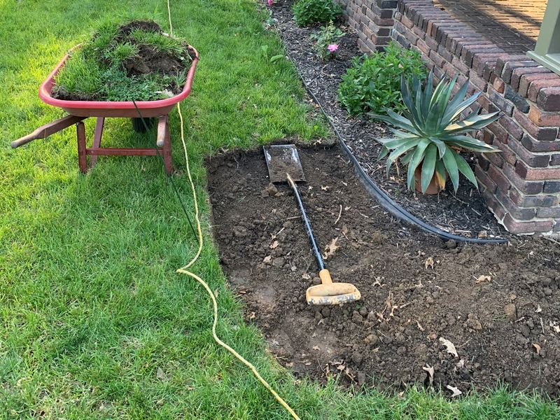 Remove persistent turf and follow the irrigation rule exactly Remove persistent turf and follow the irrigation rule exactly