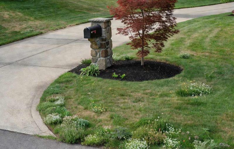 Remove the Cover That Makes Your Garden Easy to Occupy