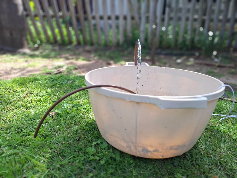 Remove the breeding water you can control
