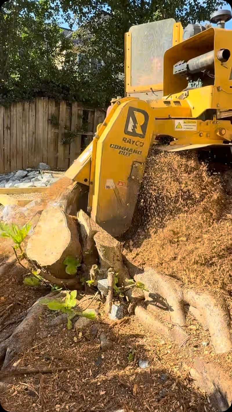 Remove the viable stump or roots when regrowth must end