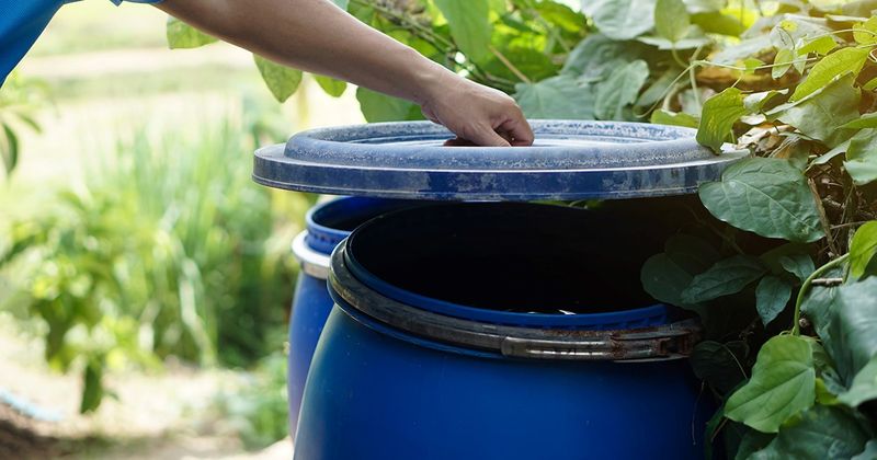 Remove the water that keeps mosquitoes coming back