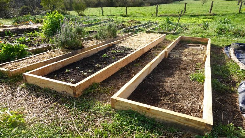 Repair the limiting condition before rebuilding the whole bed Repair the limiting condition before rebuilding the whole bed