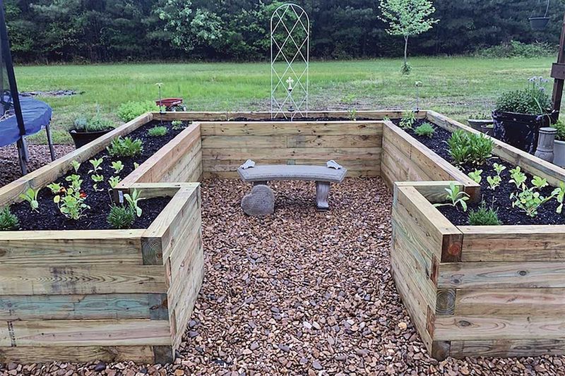 Replace the planting when rejuvenation is a poor bet