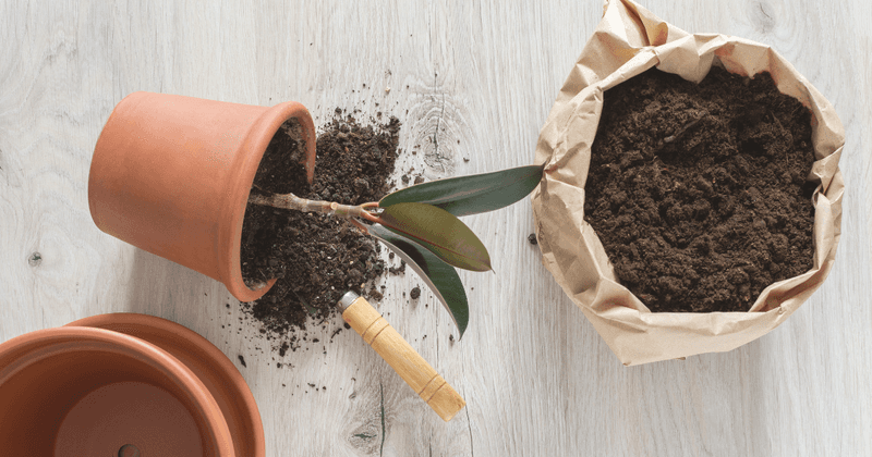 Repot Modestly When the Evidence Supports It