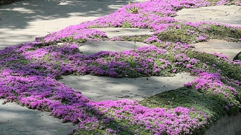 Restore the Garden Beyond the Applicable Buffer