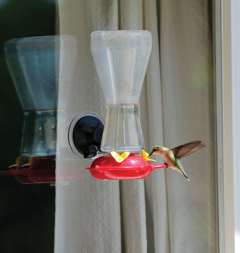 Right Next to a Busy Window