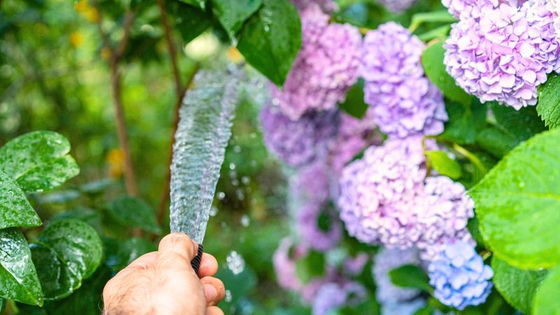 Rule out light, heat, moisture, and nutrition problems