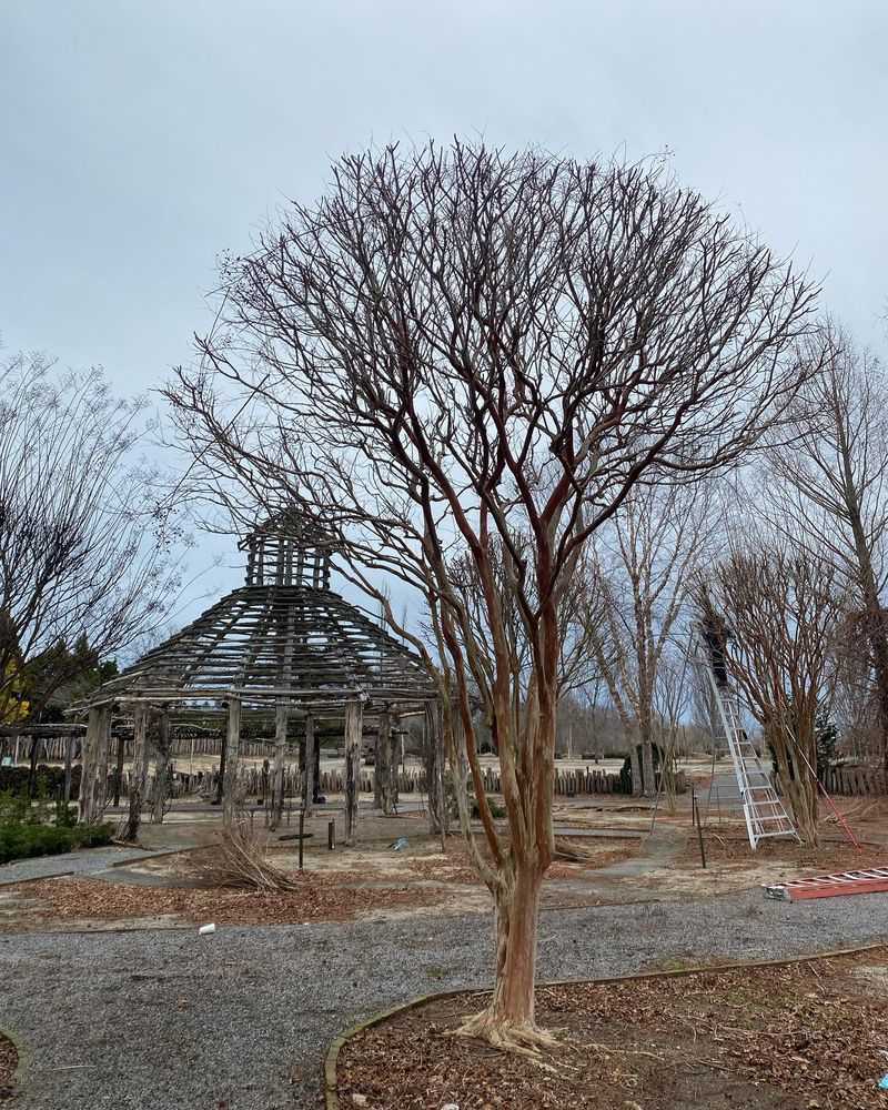 Schedule Structural Pruning for Late Winter