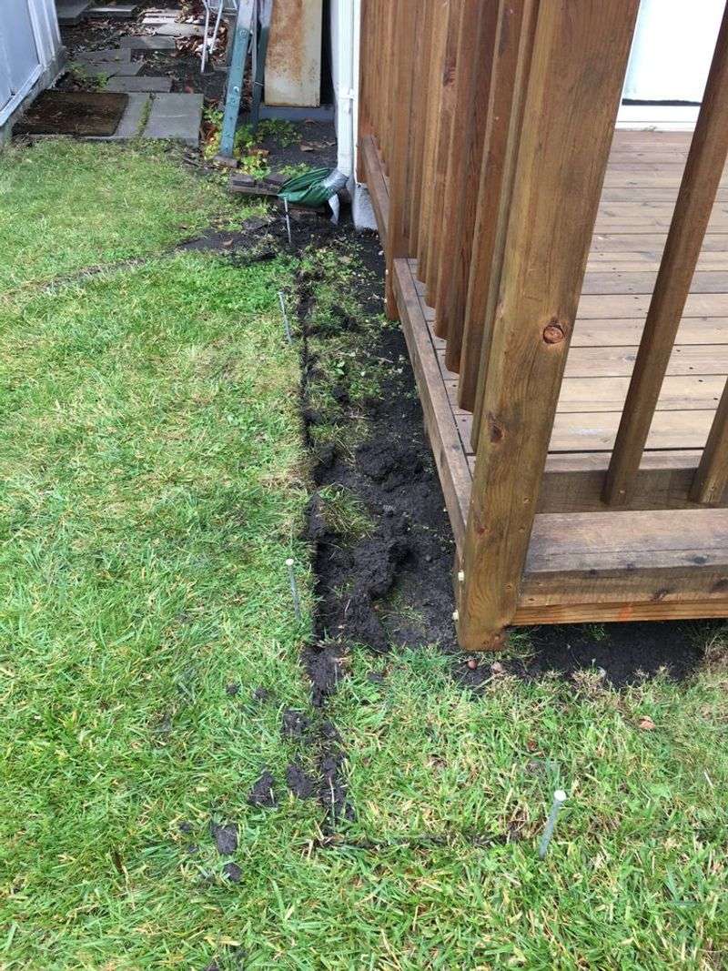 Sealing the porch may remove a refuge, but it does not prove why the toad left