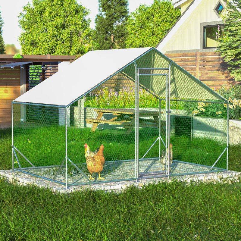 Secure poultry and keep rodent conclusions grounded