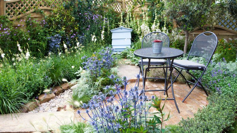 Separate lizard habitat from high-use spaces