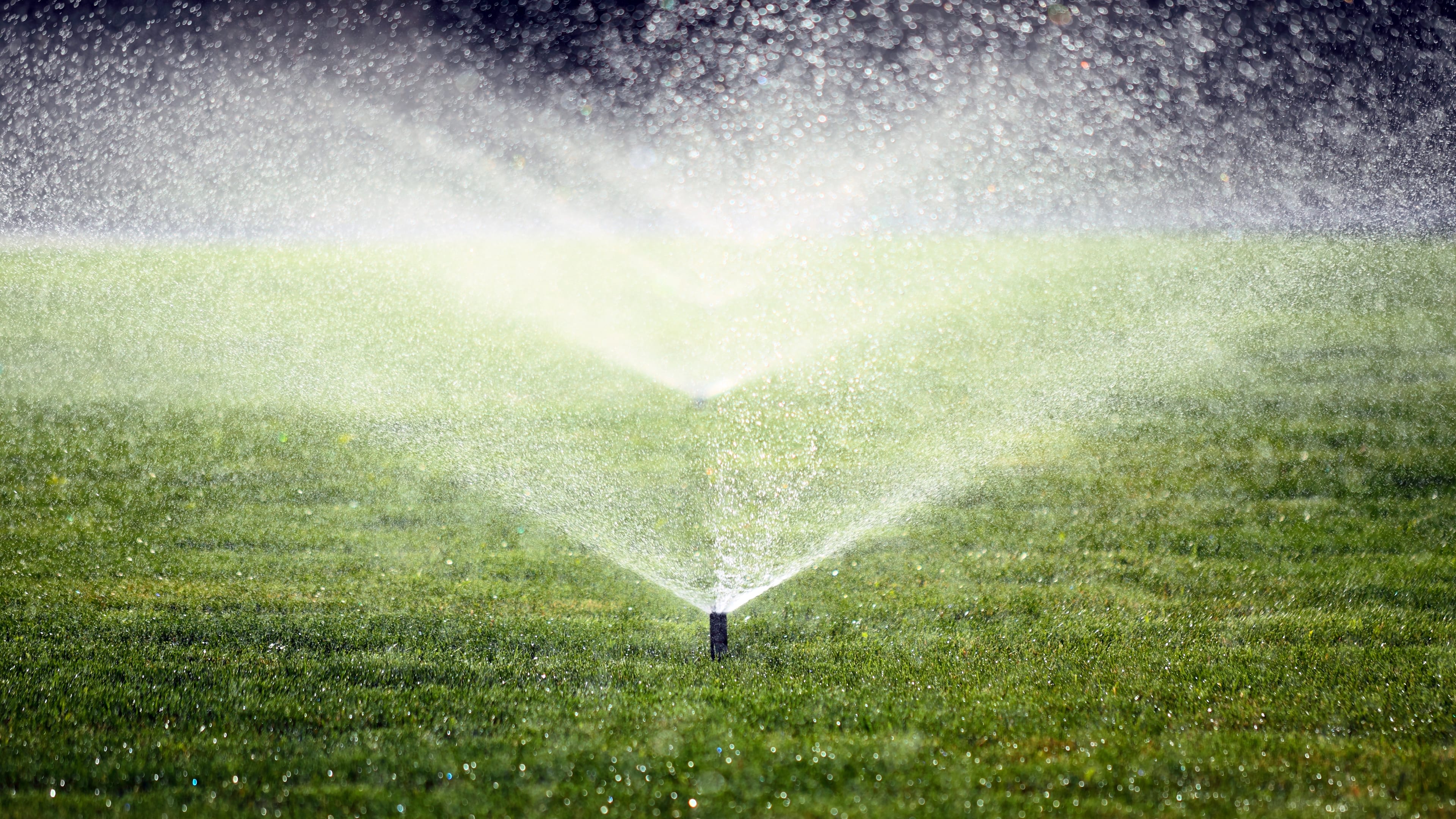Set watering by measured output and actual need