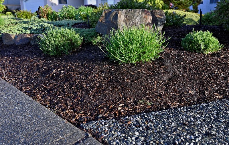 Several common mulch fixes do not remove the hazard