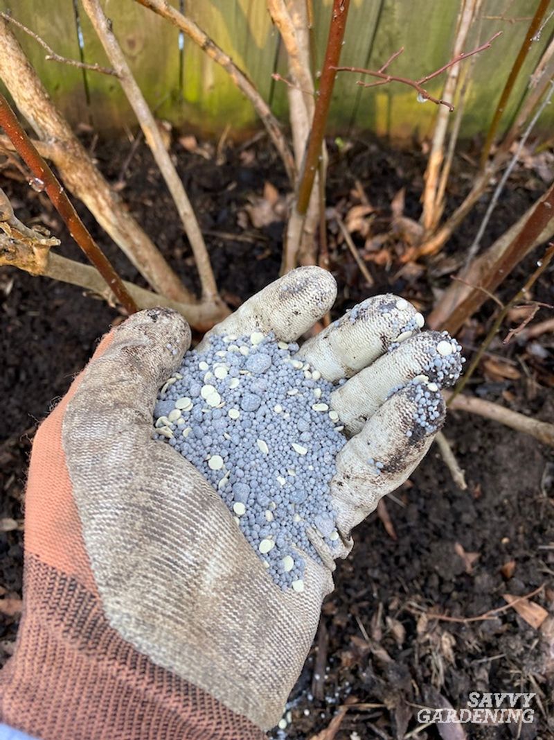Skip automatic fertilizer and daily watering rules