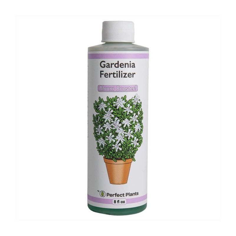 Skip fertilizer and household bloom boosters