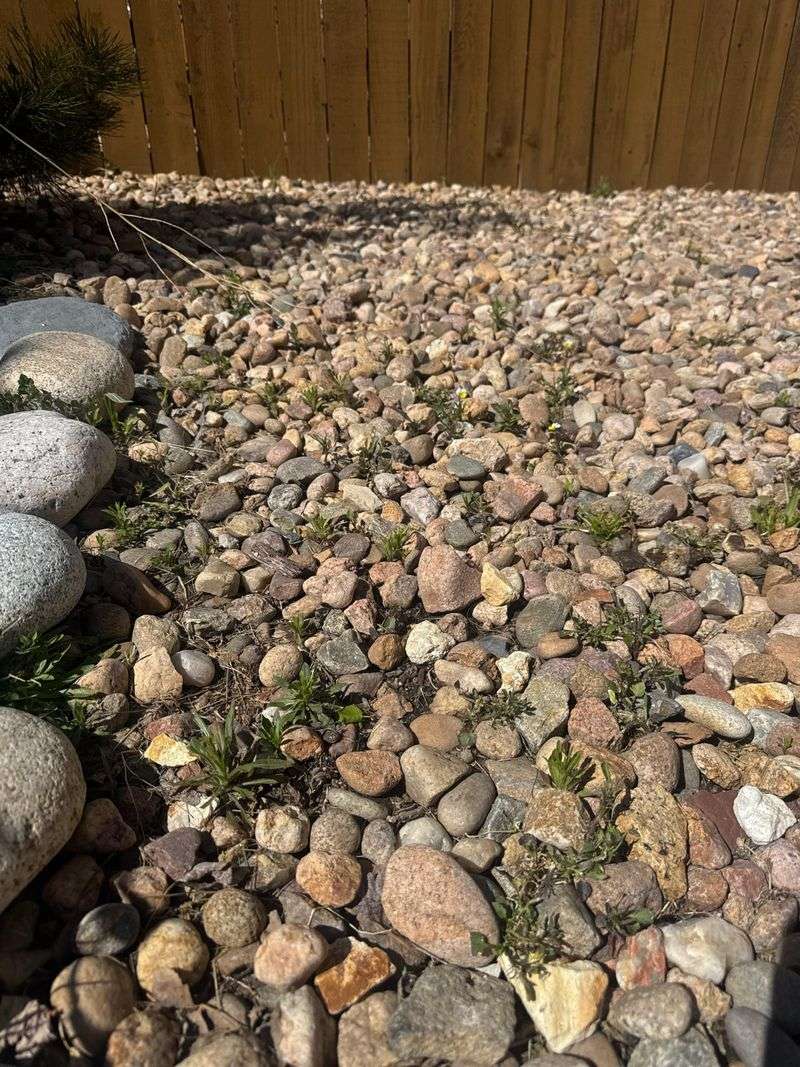 Skip shortcuts that create a different yard problem