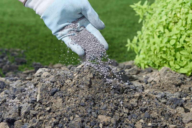Soil amendments require a test, not a guess