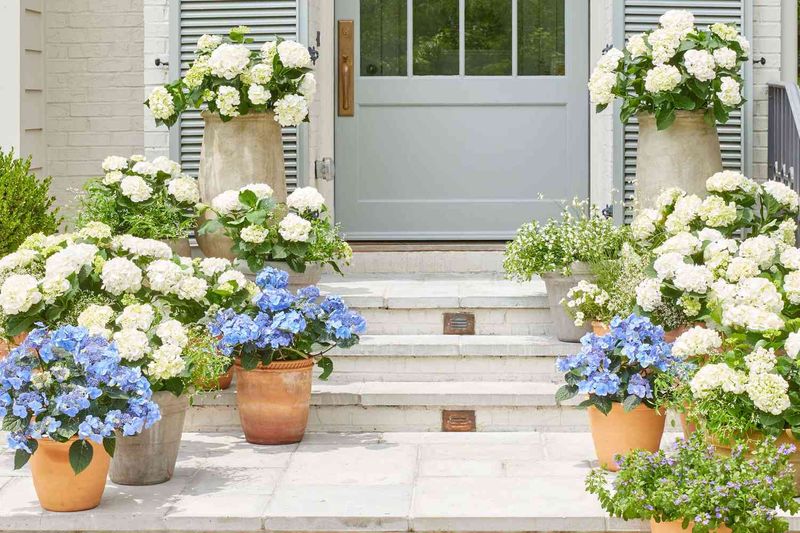 Soil, plant age, and pot size determine the next check