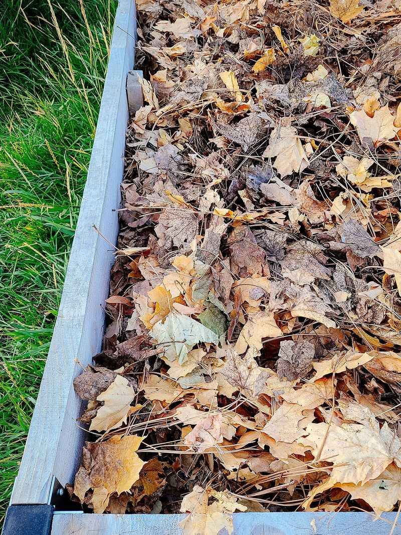 Some leaves and locations need a different plan