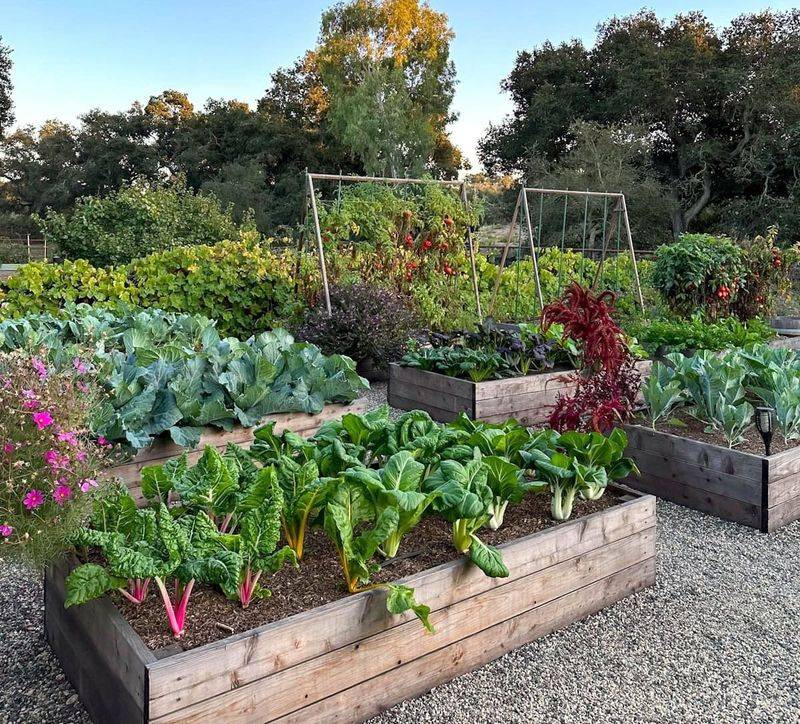 Sometimes the smartest Texas fix is a new planting