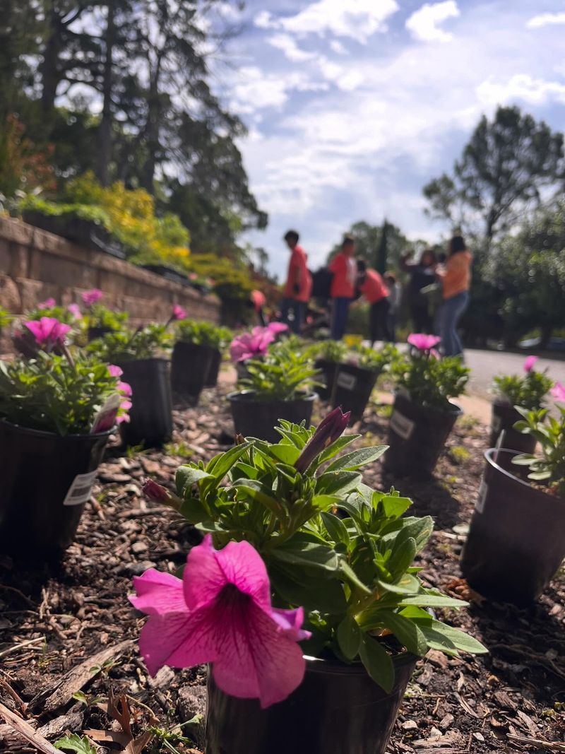Southern weather can shorten the season