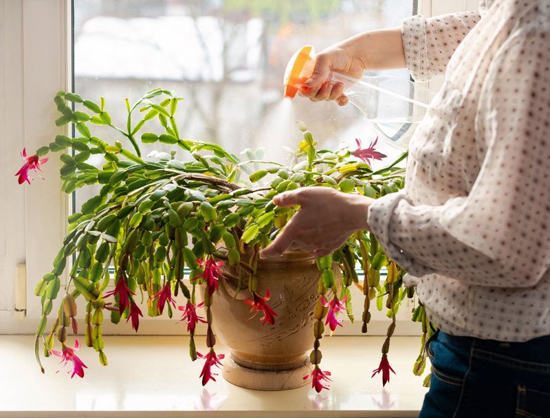 Stabilize light, temperature, and moisture