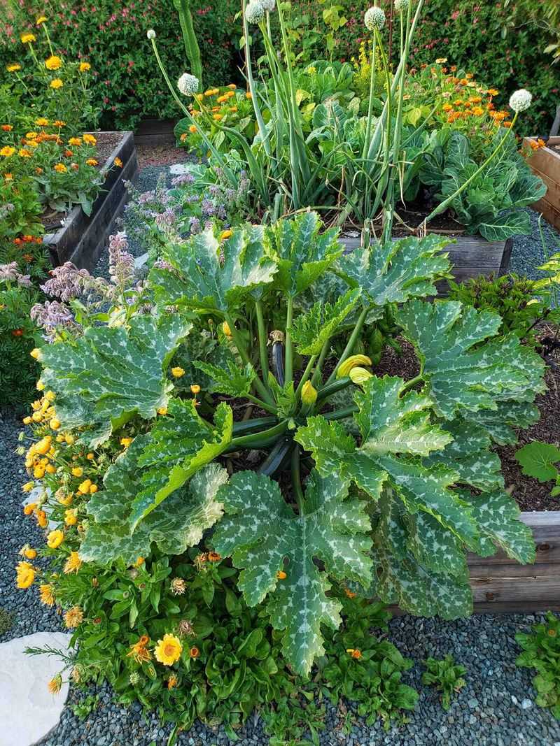 Stabilize moisture and protect the pollinators