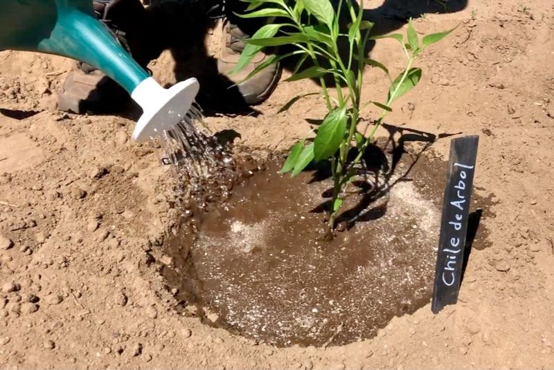 Stabilize moisture and protect the root zone Stabilize moisture and protect the root zone