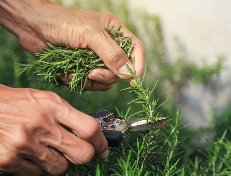 Start With the Next Green Tip