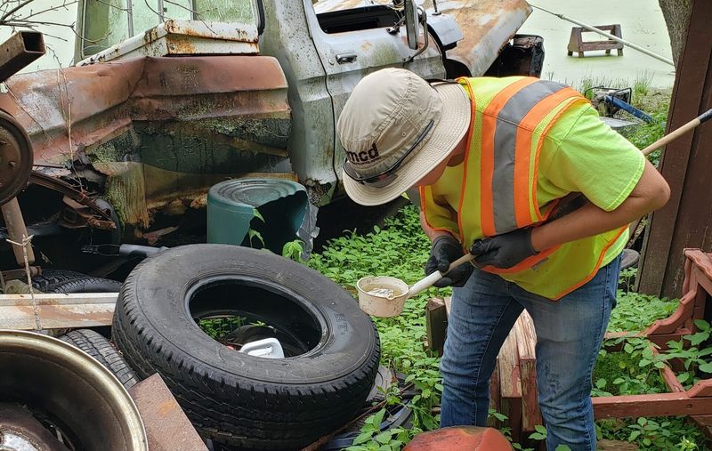 Start mosquito management with breeding sites and exposure