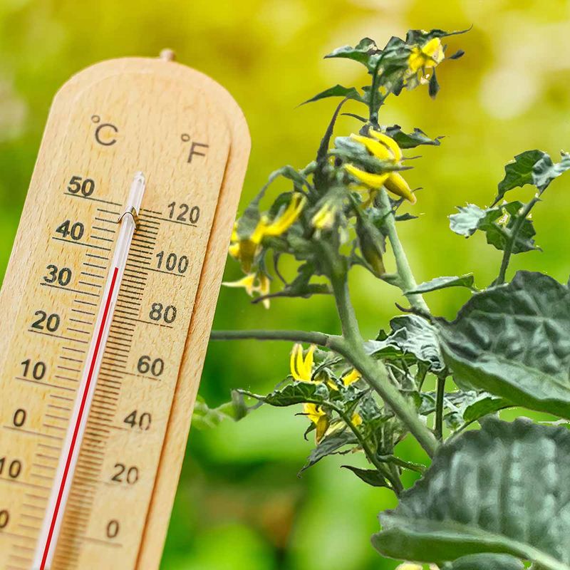 Start with several nights of temperature checks