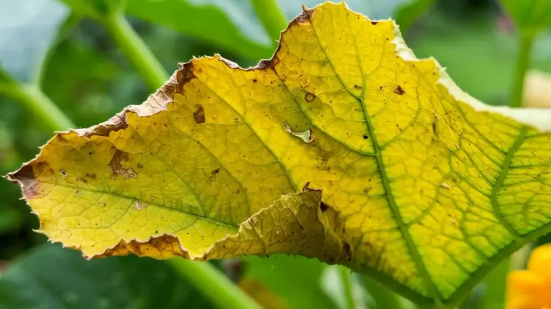 Start with the moisture pattern, not a one-cause diagnosis