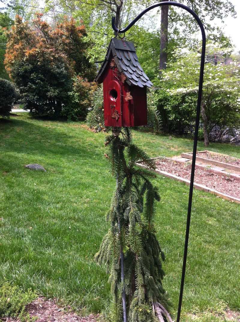 Start with the seed spill, then manage the whole yard Start with the seed spill, then manage the whole yard