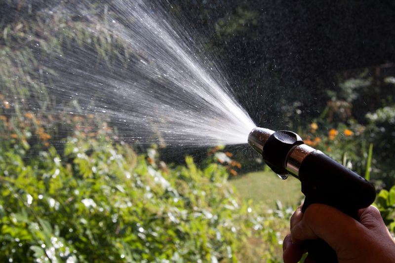 Start with water, then choose the least disruptive treatment