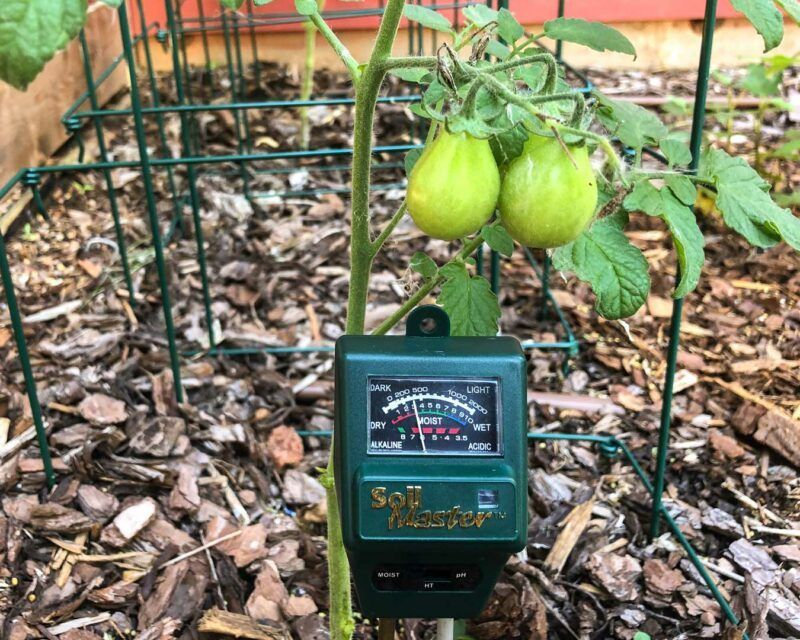 Steadier moisture gives the next crop a better chance Steadier moisture gives the next crop a better chance