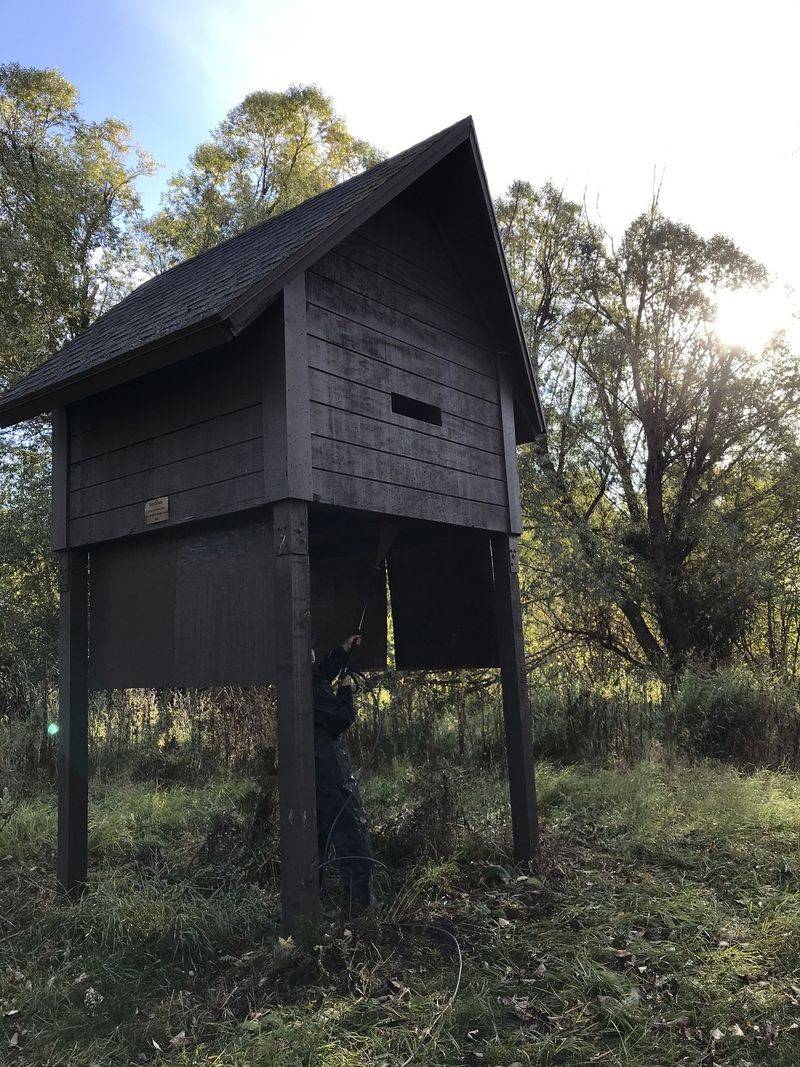 Support bats for their real value—and control mosquitoes directly