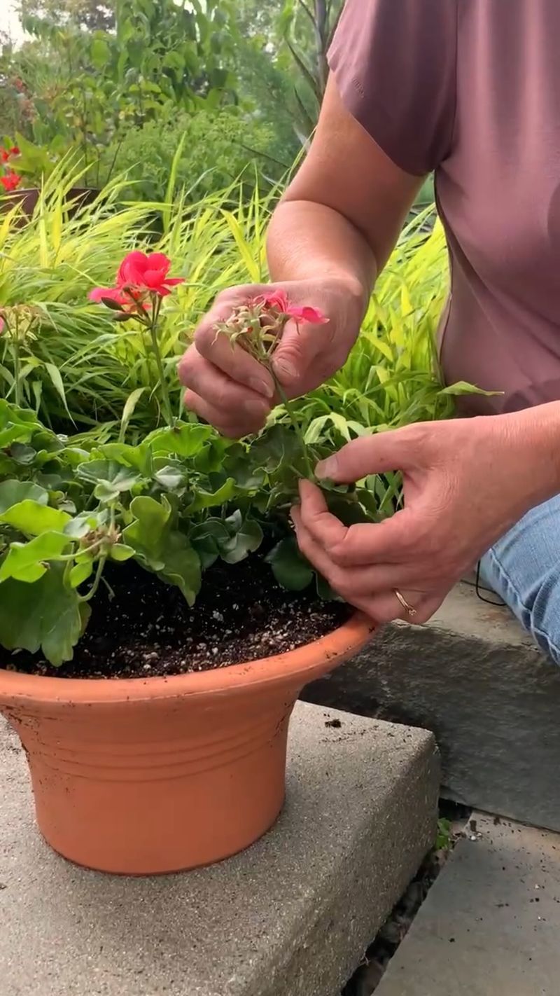 Support flowering without creating a second problem