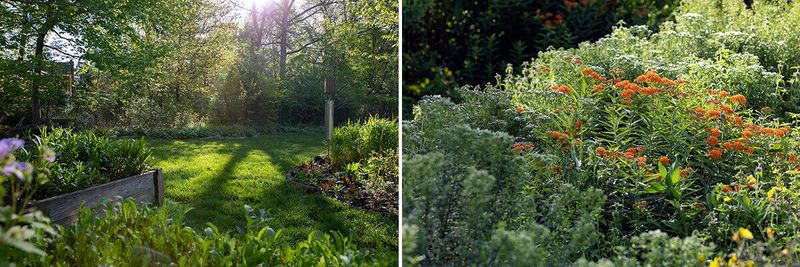 Support the habitat without creating a mosquito nursery Support the habitat without creating a mosquito nursery