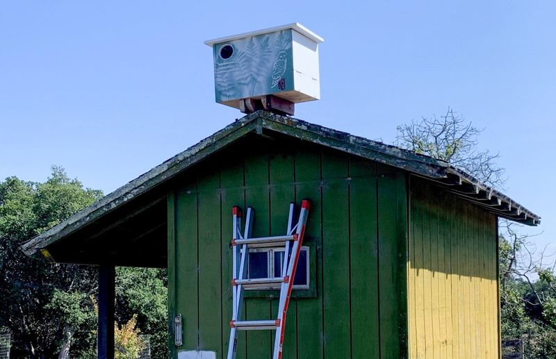 Support the owl without asking it to do everything